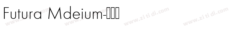 Futura Mdeium字体转换